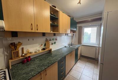 Exclusivitate, Apartament trei camere Faget - 5