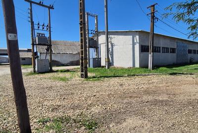 Spațiu Industrial și Logistic - 1