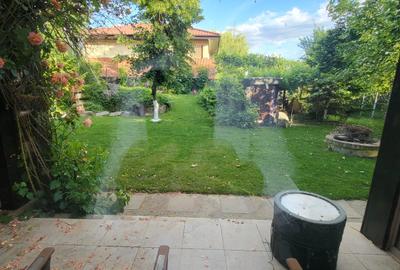 CASA P+1 ÎN BALOȚEȘTI – LÂNGĂ PĂDURE, TEREN 700 MP, LIVADĂ, CRAMĂ, BECI ȘI CURTE - 17