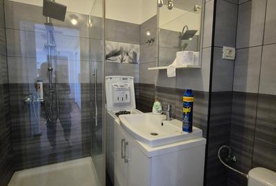 Apartament deosebit: zona Circumvalatiunii ideal pentru cei ce lucreaza de acasa - 21