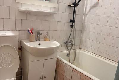 Apartament 2 camere– Lăpușneanu / Satul de Vacanță - 10