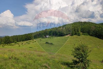 Teren 130000 mp extravilan, faneata si padure, Munteni - Bulz, Negreni - 1