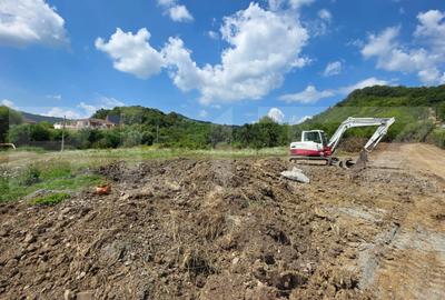 Teren Construcții extravilan de 1750 mp, în Viișoara