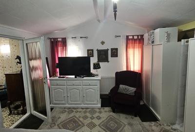 Casă individuală cu SAD, P+M, 2 apartamente, Timișoara, zona Lipovei, comision 0 - 26