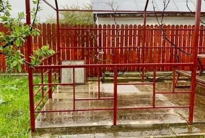 Casa la gri, comuna Girov - 19