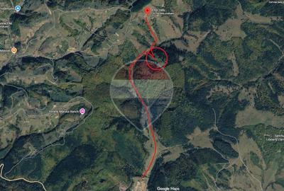 Teren Poiana Marului, 2053mp,  741mp si 3906mp inconjurat de padure - 11