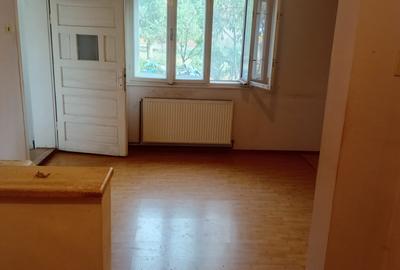 Vanzare Casa in localitatea Bodrogu Nou - 17