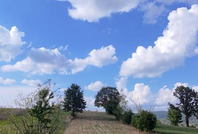 Șinca Nouă – 8.439 mp pentru agricultură, apicultură și investiție in viitor - 2