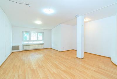 Piata Victoriei| Banu Manta | 15 camere | Metrou - 8