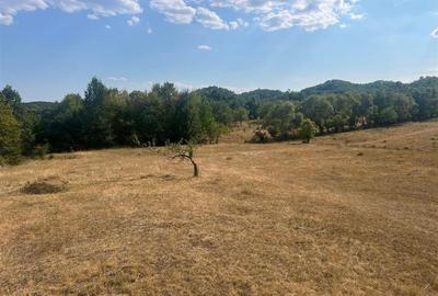 Teren 9.059 mp la liziera padurii, cu priveliste spre Apuseni - 16