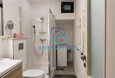 Ion Mihalache, Chibrit, casa 2 corpuri, 6 camere, 2 bai, teren 280.5mp - 14