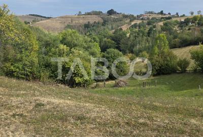 Teren de vanzare 8.300 mp Plesi Loman judetul Alba - 2