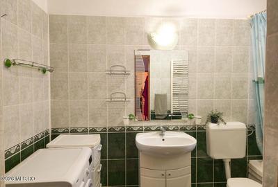 Lunei - Ion Neculce, 2 Apartamente. Mansarda 157 mp. Anexe, Lot 475 mp - 12