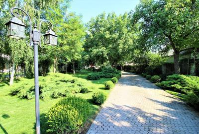 Vila exclusivistă – Buftea – Oportunitate unică! - 5