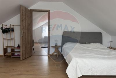 Casa finalizata recent, 2.800 mp teren Livada - Petresti de Jos - 14