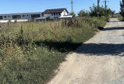 Teren Construcții intravilan de 3645 mp, în 1 Decembrie