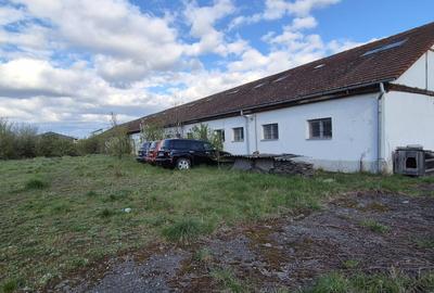 De vanzare teren+ hala productie/depozitare-Sg. de Mures - 13