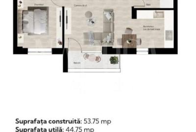 Apartament cu 2 camere semidecomandat în Băile Felix