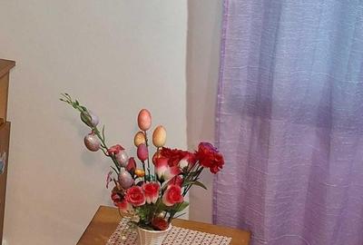 Apartament 2 camere zona Capat 1 , parter cu balcon - 5