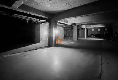 Spatiu comercial - D+P - 460 mp  - Centru Civic - 5