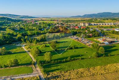 Teren intravilan 7.660 mp lângă Bran, panoramă 360°, comision 0% - 13