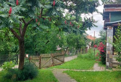 Casa gospodarului, înconjurată de natură, Comarnic - 5