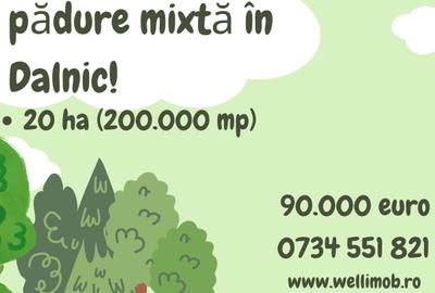 Teren agricol extravilan de 200000 mp, în Dalnic