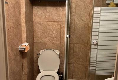 Apartament 2 camere de închiriat Romană-Gheorghe Magheru - 8