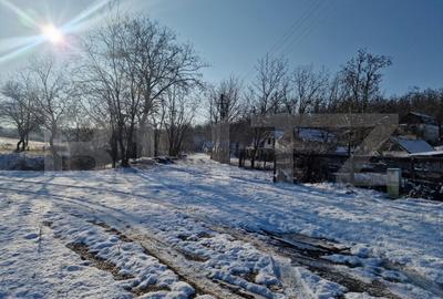 Teren Construcții intravilan de 79000 mp, în Sud