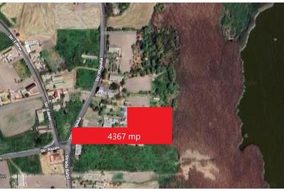 Teren intravilan 4367 mp – Salcioara – deschidere la lac - 2