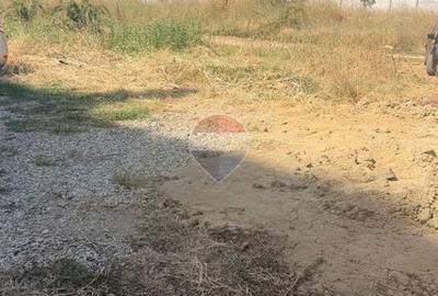 Teren 308mp Drumul Gura Calitei - 3