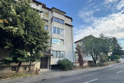 Apartament cu 3 camere de vânzare, str. Gheorghe Doja-AP1541 - 28