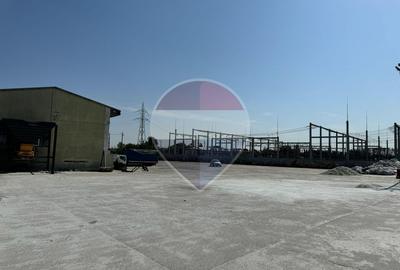 Spațiu industrial hala curte generoasa ideal activitati reciclare - 1