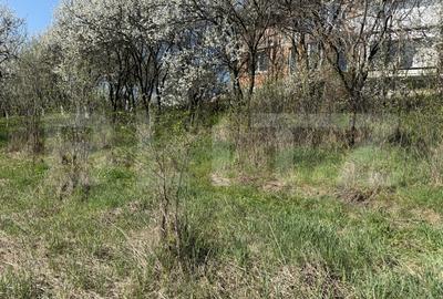 Teren Construcții intravilan de 2743 mp, în Crișeni