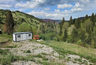 Teren 4048mp Campulung Moldovenesc, Strada Izvorul Alb, Suceava - 6