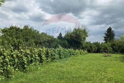 Domeniu rural, gospodarie/multifunctionala cu casa, livada, vie - 54
