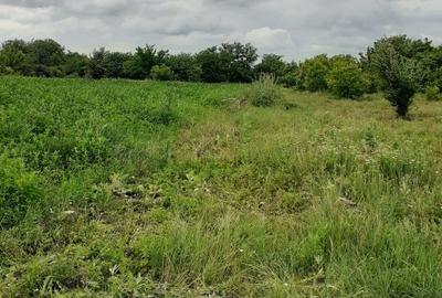 Teren intravilan Fundulea, 2750/25, utilități, ieftin, aproape de balta, 18500 e - 6