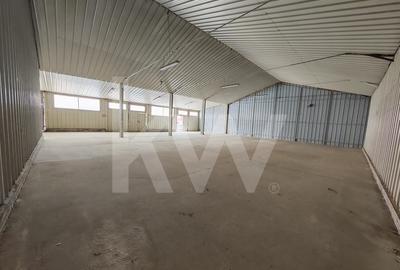 Hala industriala 828mp de inchiriat, Turnisor - Posibilitate compartimentare - 1