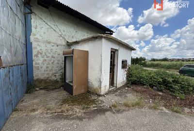 Depozit de vanzare cu suprafata utila de 450 mp - Ortisoara - 6