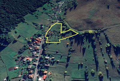 Teren la munte în Bucovina - 5