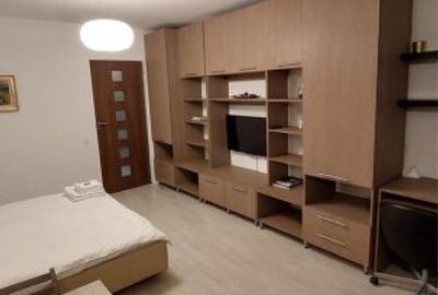 Dristor/Rond Baba Novac/Spitalul Victor Babes/Garsoniera moderna la cheie/ - 3