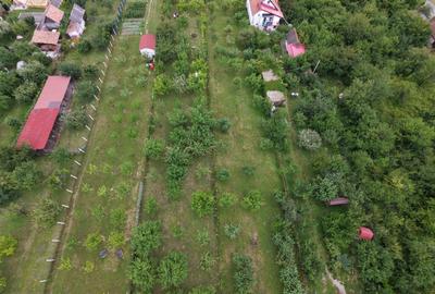 Teren intravilan 1000 mp in Sibiu Daia Noua - 9