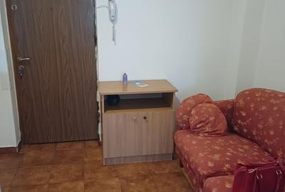 Apartament 2 camere de vânzare Lujerului - 5
