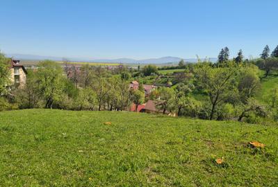 Teren deosebit - 1500 mp, Poiana Angelescu, Str. Livezii - 6