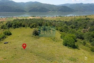 🌳 Oportunitate de Investiție: Teren Extravilan Generos langa Dunare - 2