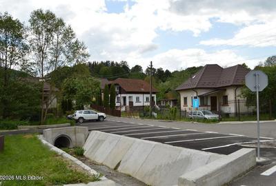 Nucsoara - Casa cu teren 600 mp - 25