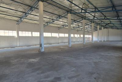 Spatii industriale 1.5Eur/mp - 15