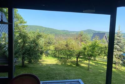Cabane A frame + Teren 6000 mp |  Proprietate deosebita, NOU - 17