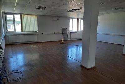 Spatiu Industrial - 500 mp - Productie - Depozitare - 13