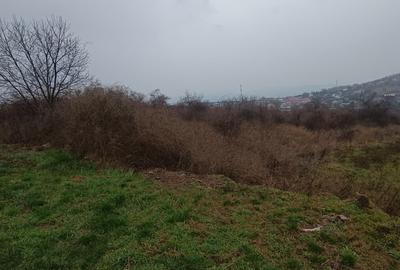 Teren intravilan de 11000 mp, în Tomești